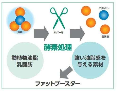 透過日本食品機械原輔料大賞，看底層技術(shù)如何推動產(chǎn)業(yè)前行